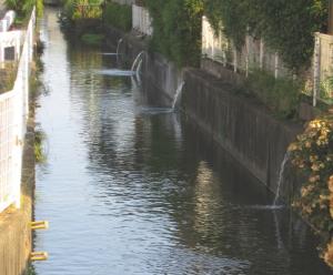 井戸水の注ぐ川